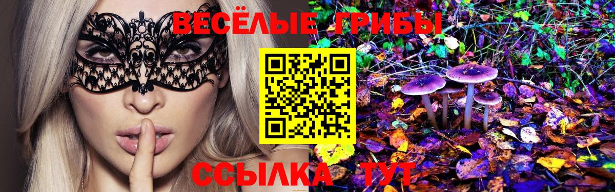 Псилоцибиновые грибы Magic Shrooms  Вход с VPN  Луга  Галлюциногенные грибы ЛСД 