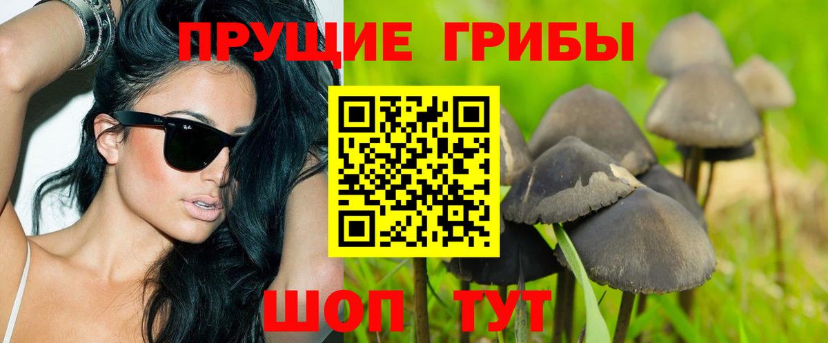 Галлюциногенные грибы ЛСД Луга